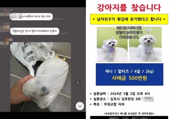 ‘학대견을 돕는 사람들의 모임‘ SNS 캡처