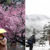 봄과 겨울 ‘아름다운 동행’