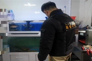 설마 했더니… 일본산 방어를 국내산으로 속여 팔다니