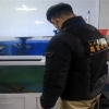 설마 했더니… 일본산 방어를 국내산으로 속여 팔다니