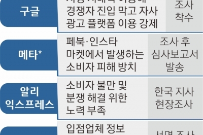 플랫폼법 명분 쌓는 공정위… 구글·메타·알리 ‘전자상거래 반칙’ 조준[뉴스 분석]