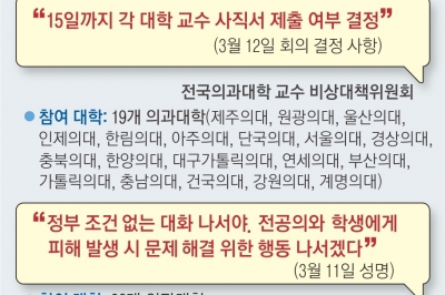 교수들 대화협의체 만들자면서… 증원 논의·대표성 두고 ‘사분오열’