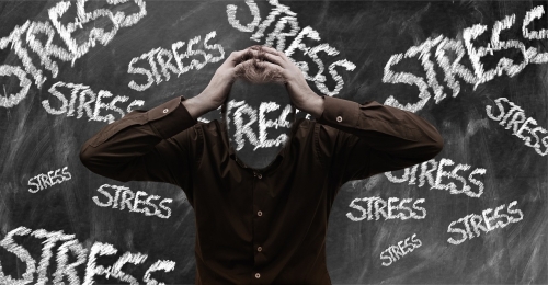 스트레스는 번아웃을 비롯해 각종 신체적, 정신적 질환의 원인으로 꼽힌다.  픽사베이 제공