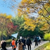 서울 중구의 건강 비결? 건강지도자가 이끄는 ‘걷기 좋은 날’