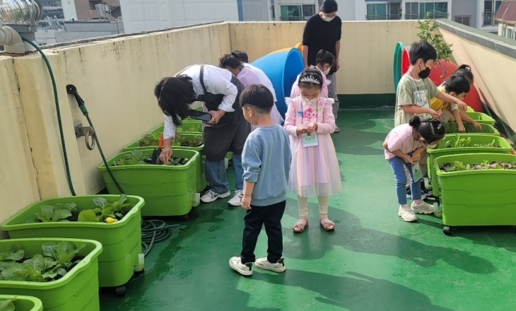 서울 금천구의 친환경 상자텃밭으로 작물을 재배하는 모습. 금천구 제공