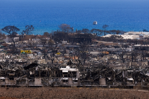 지난해 8월 미국 하와이 마우이섬에서 발생한 화재로 숲과 민가가 그을려 있다. 로이터 연합뉴스
