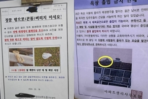 창문 밖 콘돔 투척, 옥상 위 애정 행각…아파트 민폐 눈살