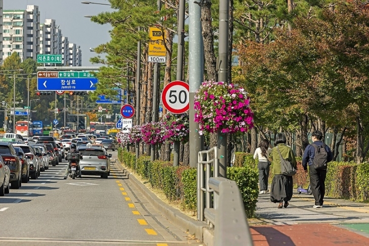 서울 송파구에 조성된 걸이화분의 모습. 송파구 제공