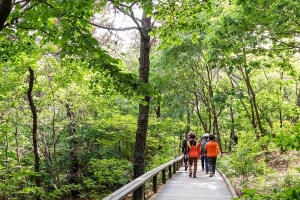 강서구 둘레길은 쎈 보안관이 지킨다