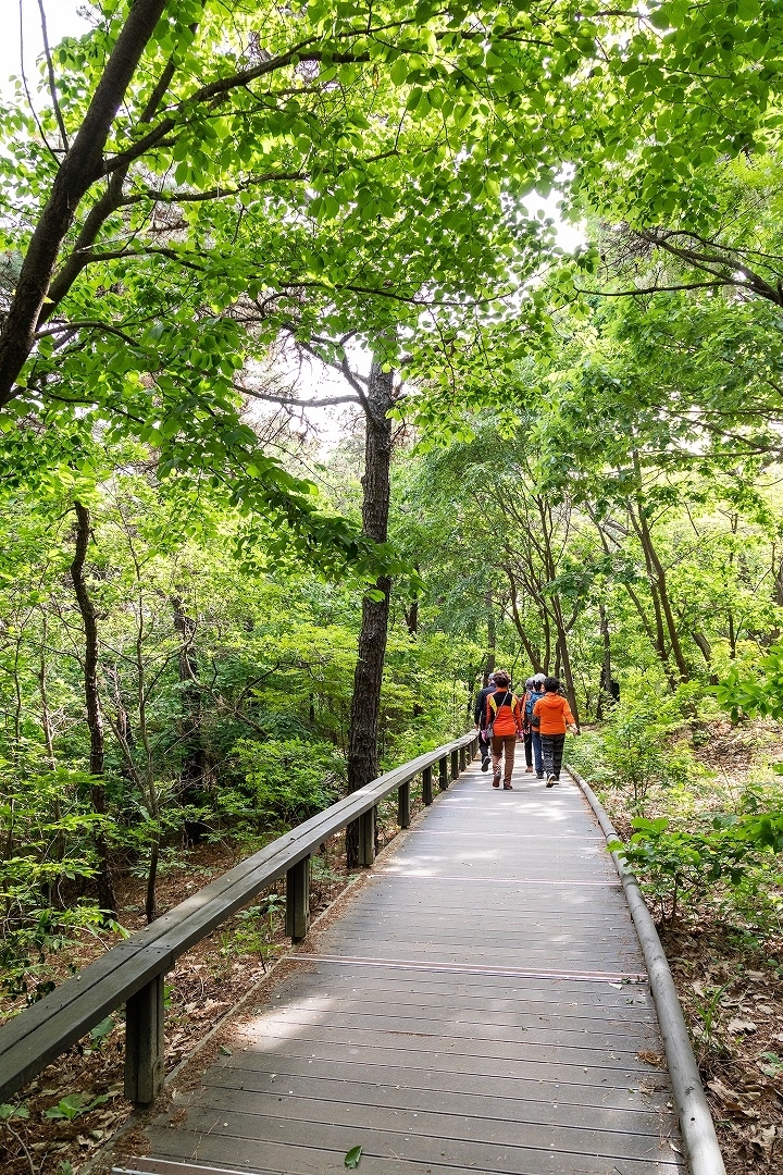 서울 강서구의 한 둘레길의 모습. 강서구 제공