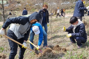 전남도, 430만 그루 나무심기로 탄소흡수원 확충