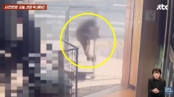 납품업체 직원이 민 수레에 충돌해 넘어지는 노인. JTBC ‘사건반장’ 보도화면 캡처