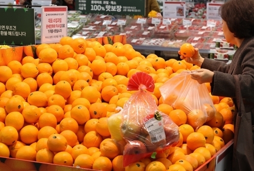 한 시민이 지난 21일 서울의 한 대형마트에서 과일을 고르고 있다. 연합뉴스