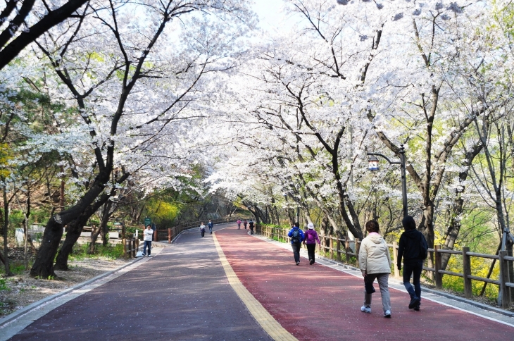 남산공원 산책로.  서울시 제공