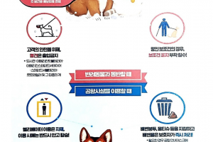 “혼저옵서개”… 제주항공, 반려견 전용 항공기 띄운다