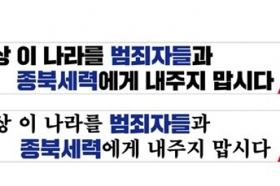 ‘종북’ 현수막 걸려다 멈춘 국힘…내부 반발에 한동훈도 철회 지시