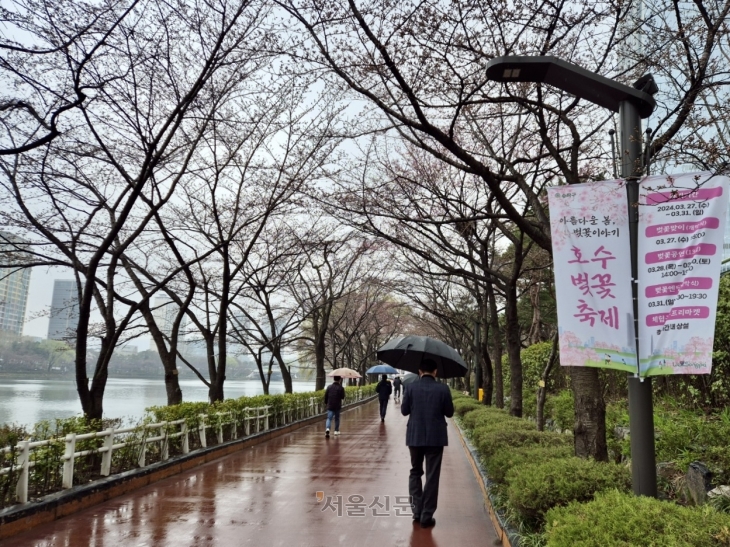 같은 날 벚꽃축제 이틀째를 맞은 송파구 석촌호수에서 시민들이 개화하지 않은 벚나무 사이로  걷고 있다.