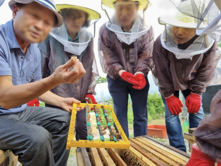 서울 구로구 도시양봉교육 지난해 수강생들이 현장 실습을 하고 있다. 구로구 제공