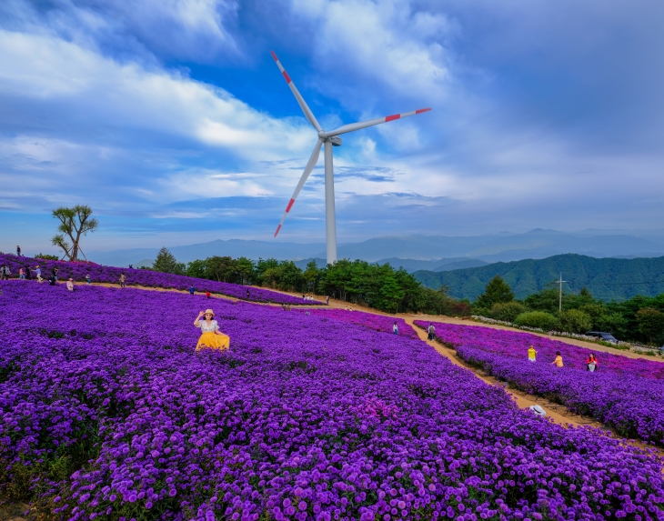 사진 명소로 유명한 거창 별바람 언덕. 2024.3.29. 거창군 제공