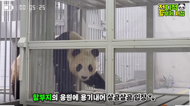 유튜브 채널 말하는 동물원 뿌빠TV 캡처