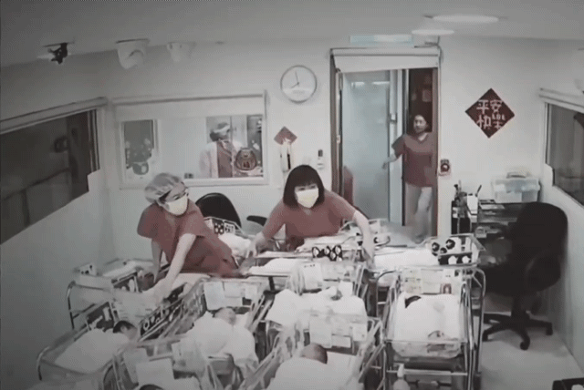대만 지진 발생 직후 타이베이의 한 산부인과에서 간호사들이 신생아 침대가 흔들리지 않도록 붙들고 있는 모습이 공개됐다. 스레드