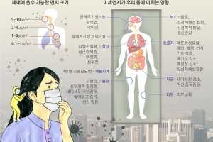 심장·뇌·혈관·자궁까지 좀먹는 ‘미세먼지’… 피부도 늙게 해요