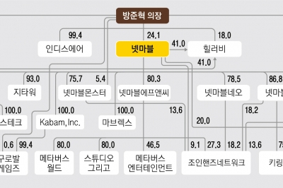 ‘3N’ 후발주자, 게임포털로 뒤집다… 24년 만에 재계 41위 ‘레벨업’[2024 재계 인맥 대탐구]