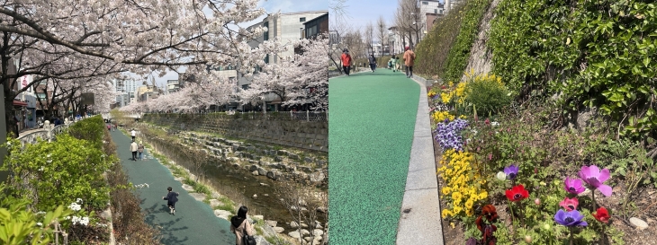 성북구 제공