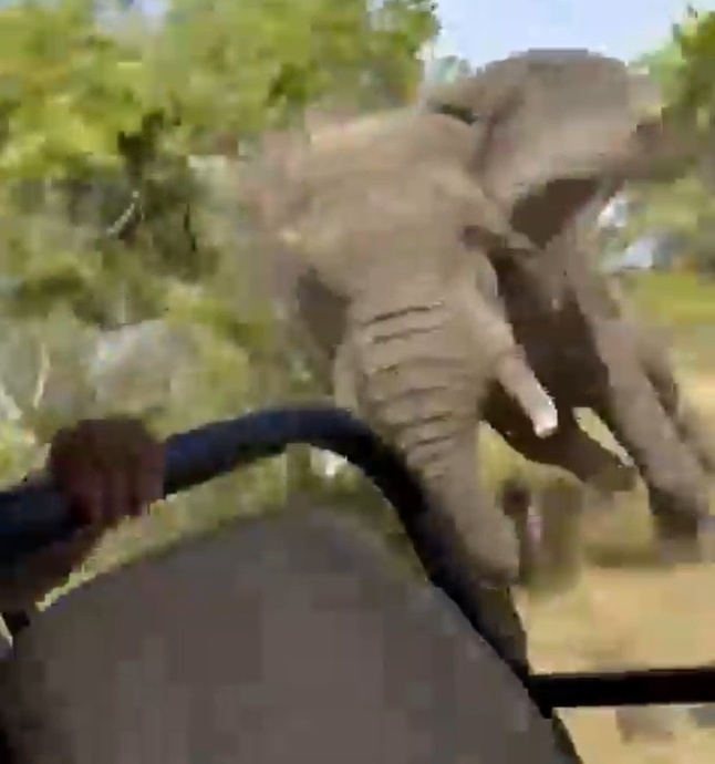 잠비아 카푸에 국립공원에서 코끼리 한 마리가 사파리 투어 차량을 공격하던 당시 모습.  CNN 방송 캡처