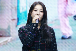 악플 시달린 보아, 은퇴 암시에…SM “대규모 고소 진행”