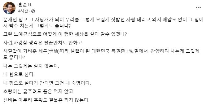 홍준표 대구시장 페이스북