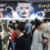 ‘서울캣쇼’ 찾은 고양이 집사들
