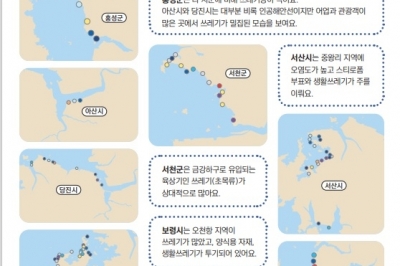 충남 연안 해양쓰레기 처리 시급…전국 첫 해양쓰레기 분포지도 제작