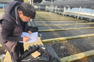 전남해양수산과학원, 전복·넙치 최적 양식 조건 찾는다