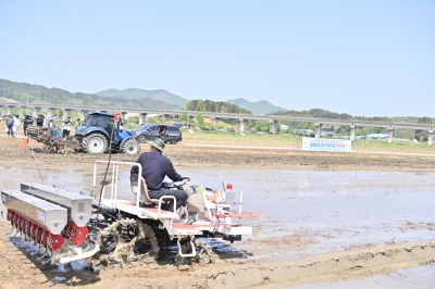 “국가 식량안보 지켜라” 충남 벼 직파재배 10배 확대