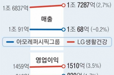 주름살 펴진 K뷰티 빅2…수출국 다변화 통했다