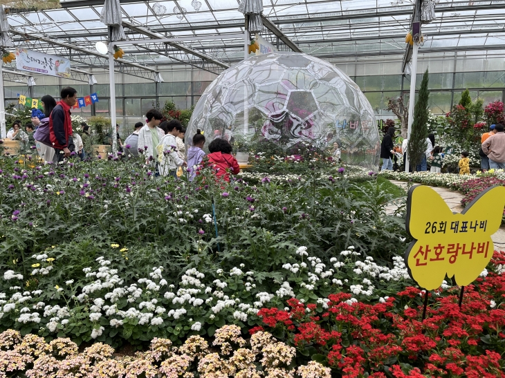 제26회 함평나비축제의 나비·곤충생태관의 산호랑나비관