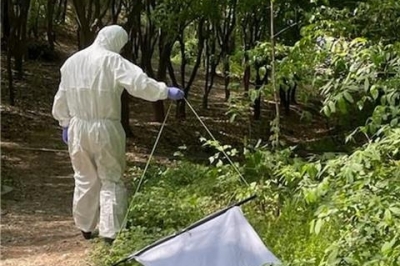 국내 도심공원 진드기에서 라임병 병원체 발견…주의 요망