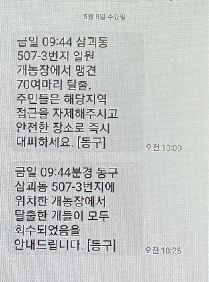 대전 동구가 ‘맹견 탈출’을 주민들에게 전송한 재난 문자.