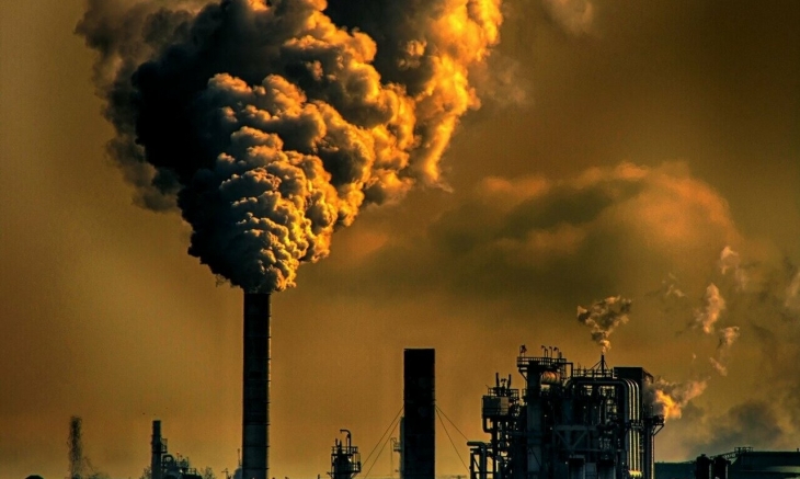 화학 오염은 전염병 발생을 393% 증가시킨다는 것이 확인됐다. 사이언스  제공