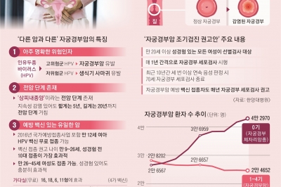 매년 900명 죽지만 백신 있는 유일한 암… 자궁경부암 절반이 2030