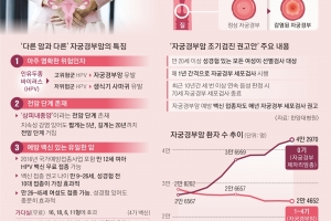 매년 900명 죽지만 백신 있는 유일한 암… 자궁경부암 절반이 2030