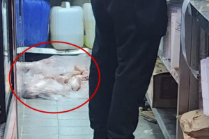 바닥에 방치된 생닭들…유명 치킨점의 ‘충격’ 실태