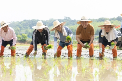 김동연, 여주 모내기 현장 찾아 농업인 격려···“올해 ‘농어민 기회소득’ 지급하겠다”