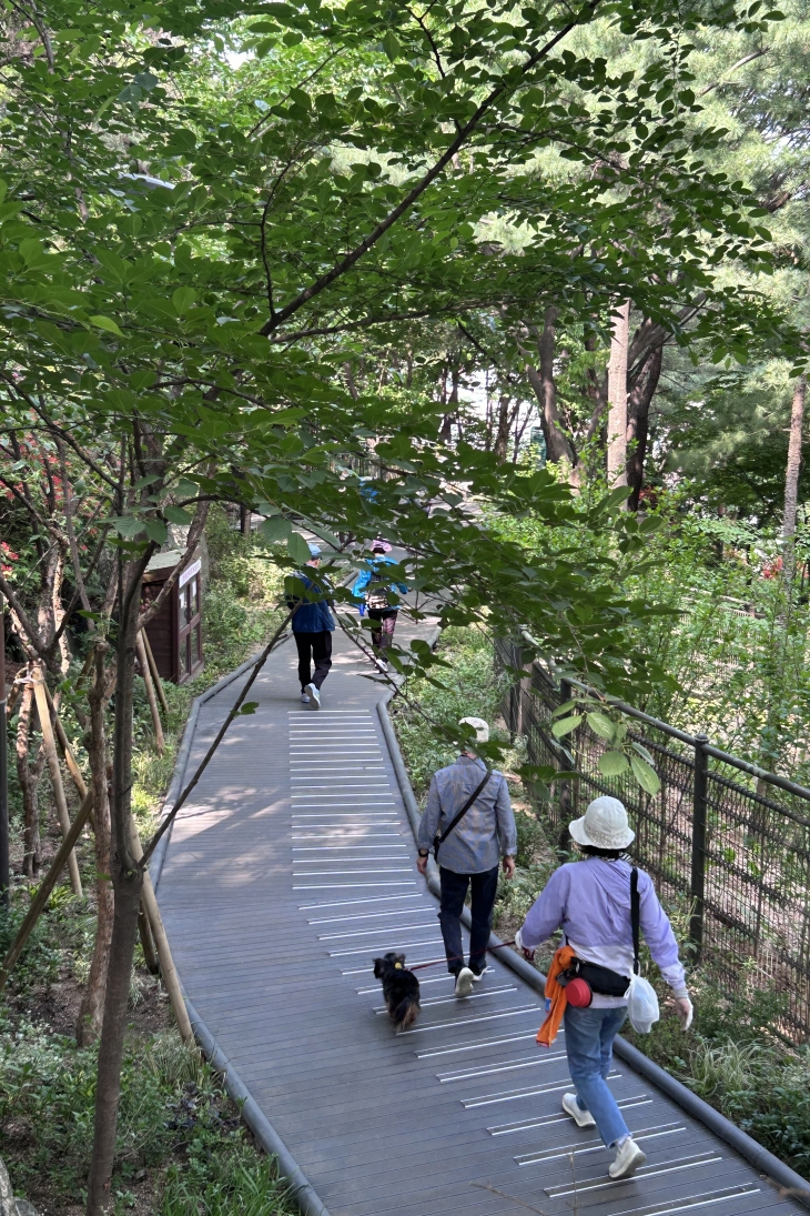 응봉친화숲길을 걷고 있는 시민들.   중구 제공