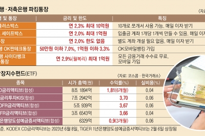 하루만 넣어도 짭짤… 파킹통장이냐 파킹형 ETF냐