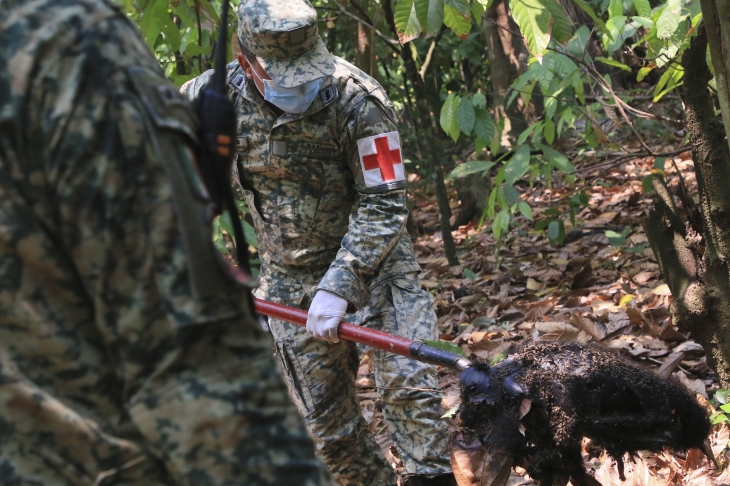 지난 21일 멕시코 타바스코주 테콜루티야에서 한 군인이 고온에 사망한 원숭이의 사체를 치우고 있다.  AP 연합뉴스