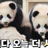 에버랜드, 업계 최초 유튜브 채널 구독자 250만명 돌파