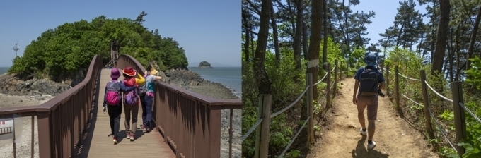 대부도 노을 산책 ‘대부해솔길’([경기관광공사 제공)