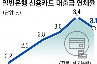 급전도 못 갚았다… 카드대출 연체율 10년 만에 최대